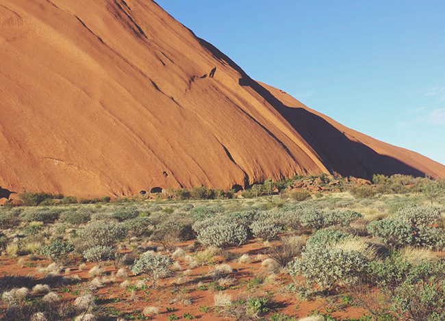 专业版软件工具的网站攻击软件
